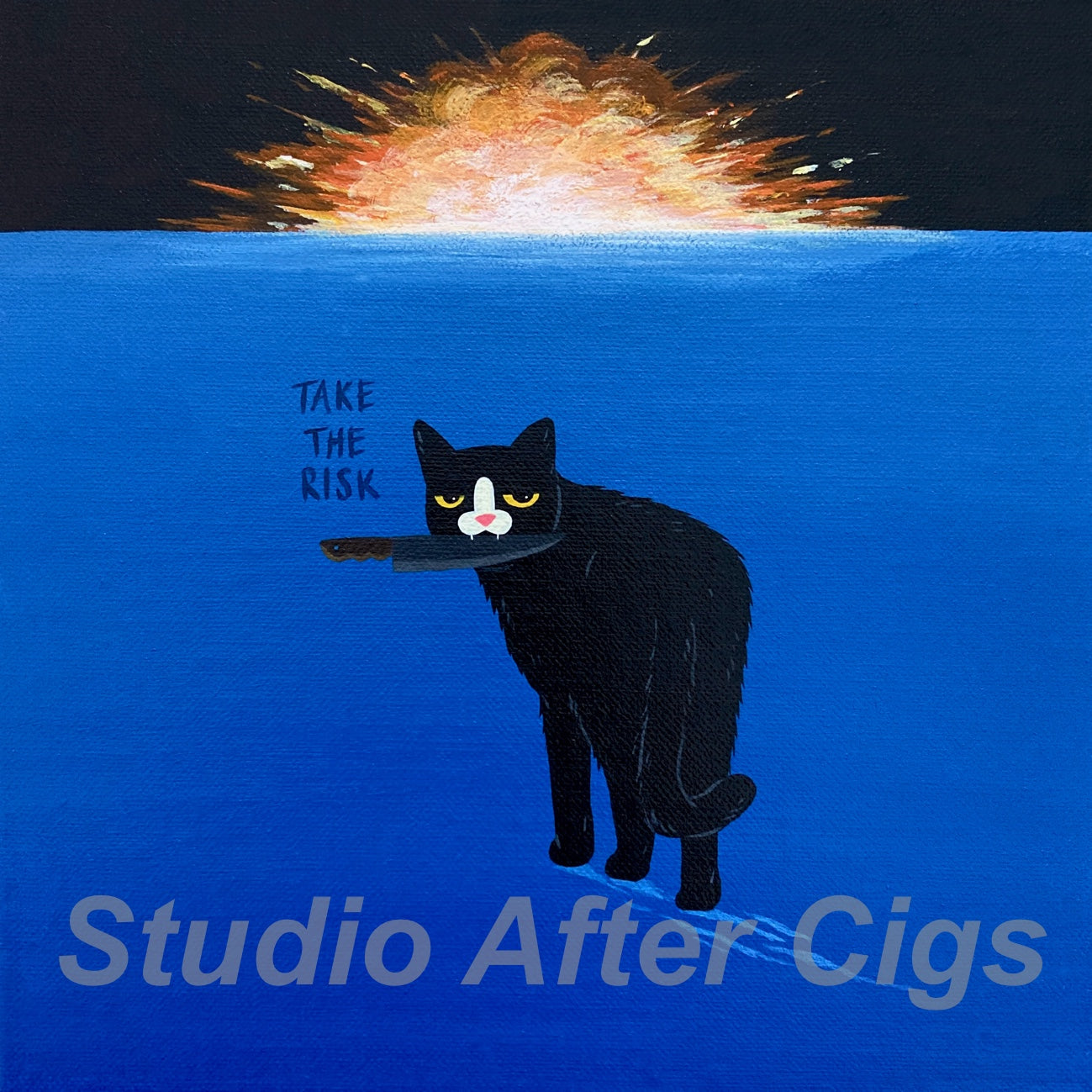 Take The Risk And Break The Rules, Give No F*ck And Make It Fun (LP)