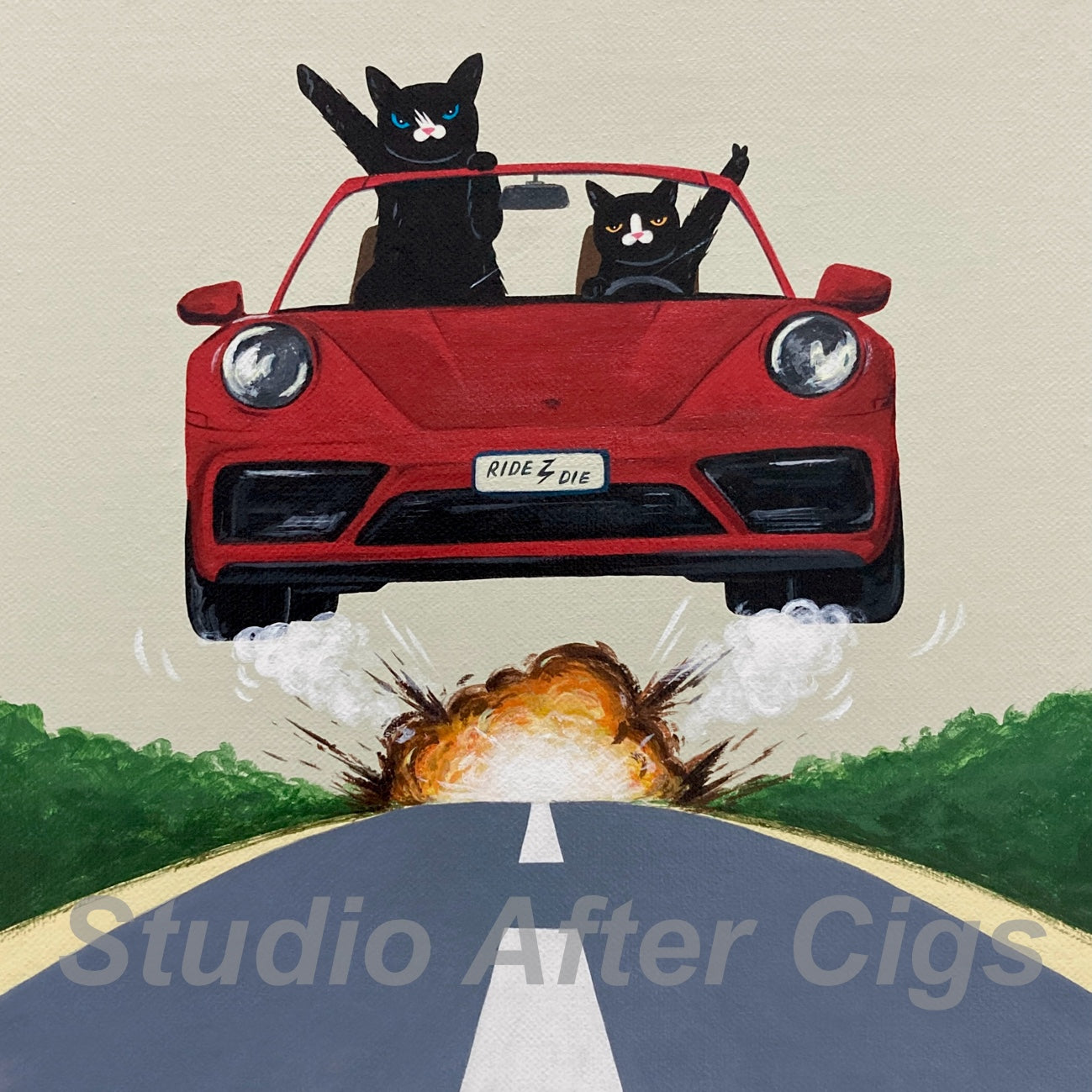 Partner In Crime, With Every Step A Playful Stride. Buckle Up, It's About To Be A Wild Ride! (LP)