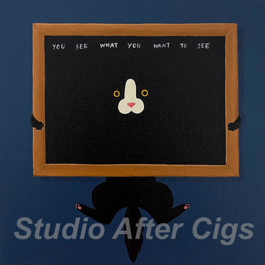 You Just Have To Use Your Imagination (LP)