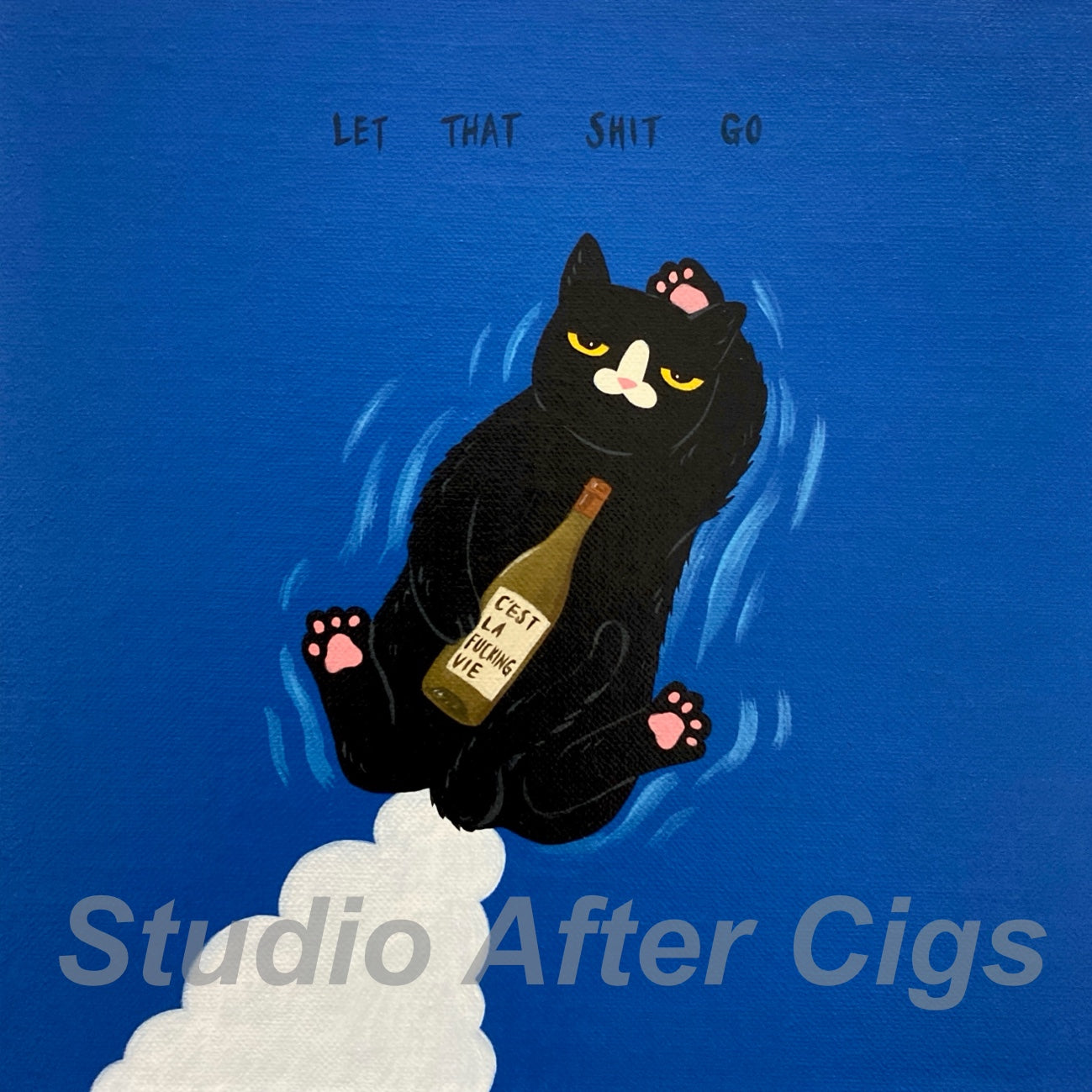 Don’t Control Your Fart,  ‘SH*T’ Gotta Go (LP)