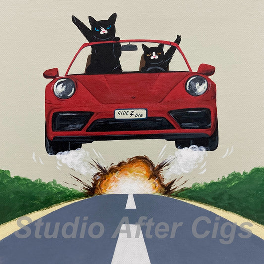 Partner In Crime, With Every Step A Playful Stride. Buckle Up, It's About To Be A Wild Ride! (LP)
