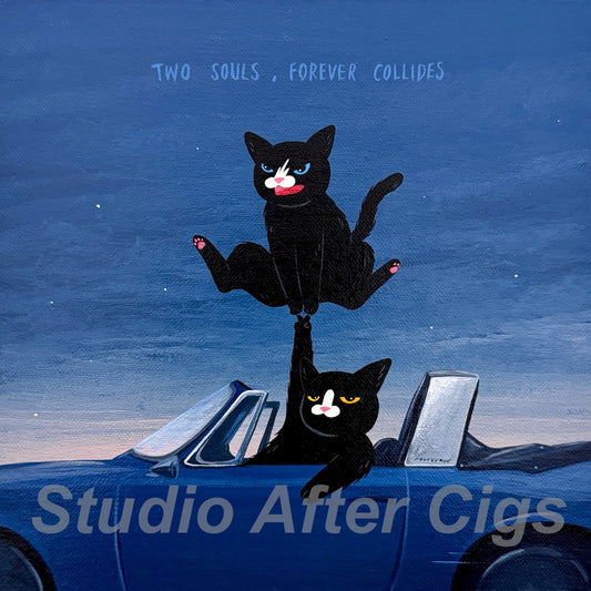 Two Of Us. Countless Rides. Endless Nights (LP)