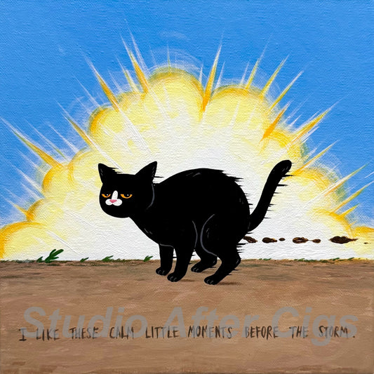 The Cat Who Enjoyed His Moment While The World Blew Up (LP)